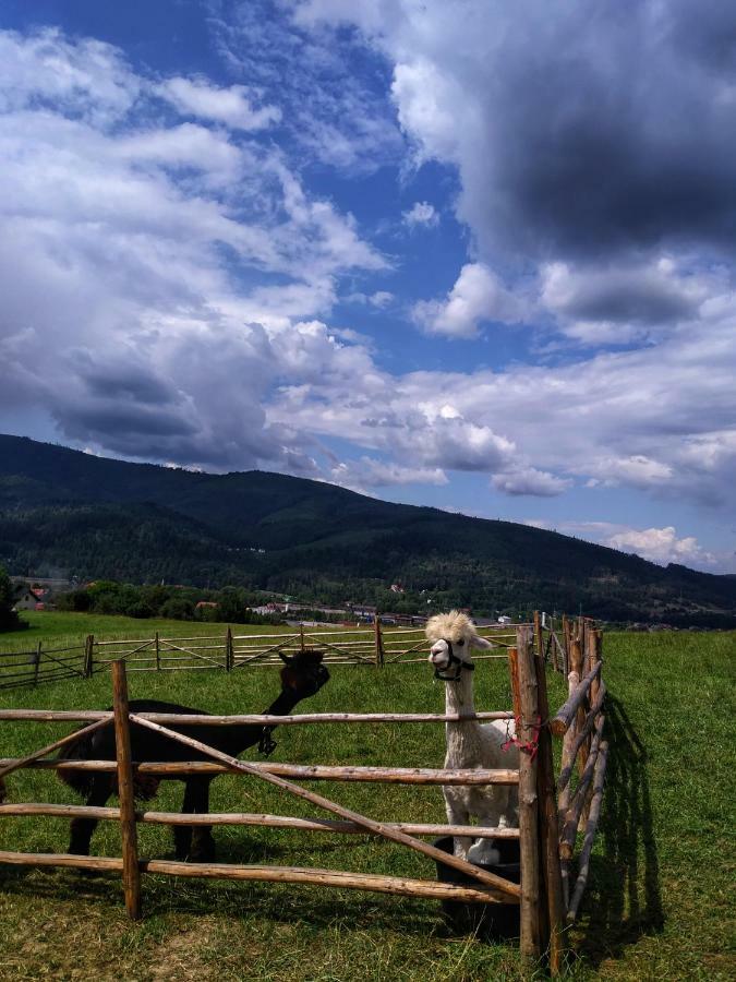 Noclegi Przy Szlaku Agroturystyka Zabnica Exterior foto