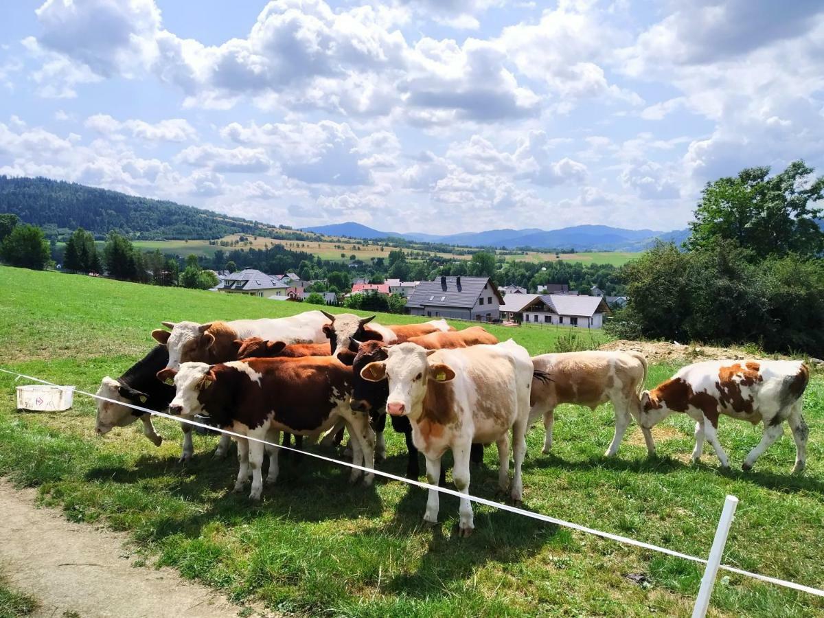 Noclegi Przy Szlaku Agroturystyka Zabnica Exterior foto