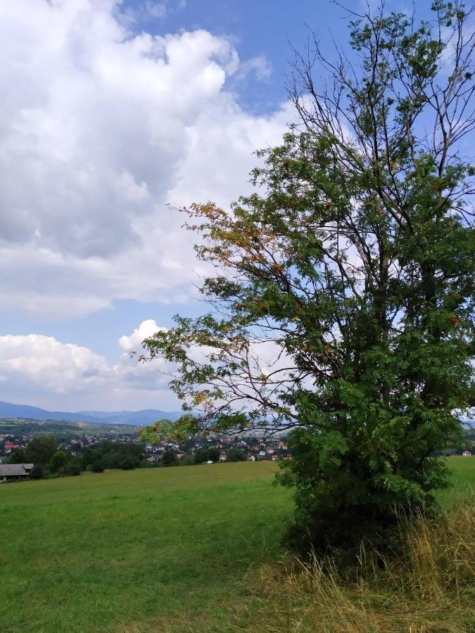Noclegi Przy Szlaku Agroturystyka Zabnica Exterior foto